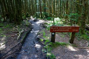 Sign for Black Mountain Campground