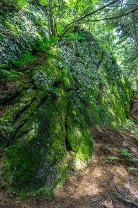 Mossy Rock Outcropping on the Mount Mitchell Trail