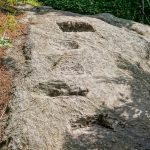 Mount Mitchell Trail Rock Cut Steps