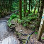 Signpost on the Mount Mitchell Trail