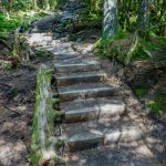Mount Mitchell Trail Steps