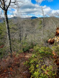 View from the Hickory Branch Trail