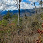 View from the Hickory Branch Trail