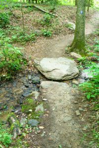 Creek Crossing on Strawberry Gap Trail