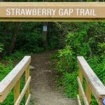 Strawberry Gap Trail Entrance