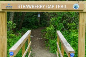 Strawberry Gap Trail Entrance