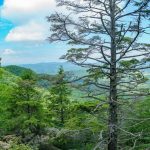 View from Ferguson Peak on the Strawberry Gap Trail