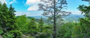 View from Ferguson Peak on the Strawberry Gap Trail