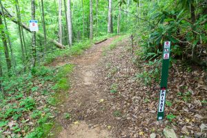 Private Trail on Strawberry Gap