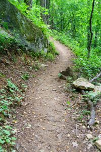 Rock Outcrop on the Strawberry Gap Trail