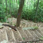 S-Shaped Stais on the Strawberry Gap Trail