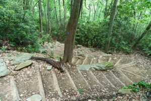 S-Shaped Stais on the Strawberry Gap Trail