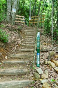 Strawberry Gap Trail Steps and Fence