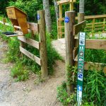 Strawberry Gap Trail Register