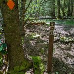 Blue Ridge Pinnacle Trail at Old Mitchell Toll Road