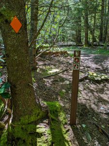 Blue Ridge Pinnacle Trail at Old Mitchell Toll Road