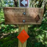 Sign for Pinnacle