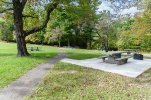 Modern Picnic Area at Cumberland Knob