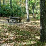 Rustic Picnic Area at Cumberland Knob