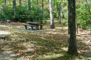 Rustic Picnic Area at Cumberland Knob