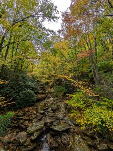 Boone Fork from the Tanawha Trail