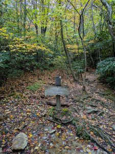 Junction of the Tanawha and Nuwati Trails