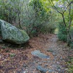 Big Boulder beside the Nuwati Trail