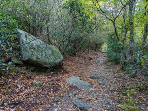 Big Boulder beside the Nuwati Trail