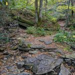 Crossing of Boone Fork on the Nuwati Trail