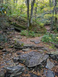 Crossing of Boone Fork on the Nuwati Trail