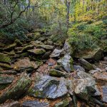 Boone Fork on the Nuwati Trail