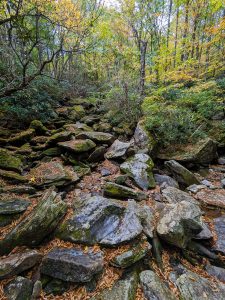 Boone Fork on the Nuwati Trail