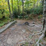 Streamside Campsite on the Nuwati Trail