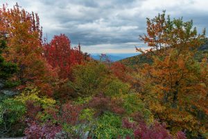 View from Storyteller's Rock