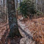 Chestoa View Trail in Autumn