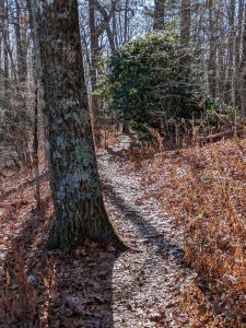 Chestoa View Trail in Autumn