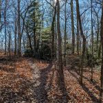 Flat Stretch of Chestoa View Trail