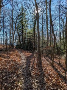 Flat Stretch of Chestoa View Trail