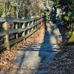 Steps to Overlook on the Chestoa View Trail