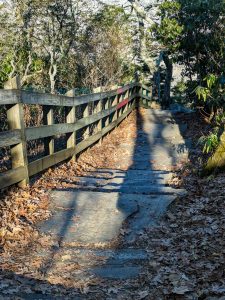 Steps to Overlook on the Chestoa View Trail