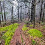 Trail to Mount Hardy Summit