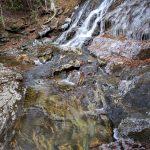 Small Waterfall beside the Flat Laurel Creek Trail
