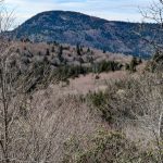 View of Mount Hardy from Little Sam Trail
