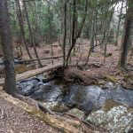 Bridge over Tributary of Bubbling Spring Branch