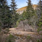 Sam Knob behind Flat Laurel Creek