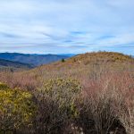 Summit of Sam Knob