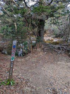 Start of the Sam Knob Trail