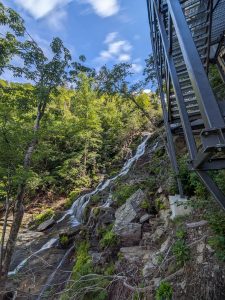 Trail Tower up Catawba Falls