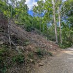 Landslide along the Catawba Falls Trail