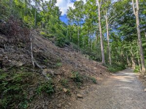 Landslide along the Catawba Falls Trail